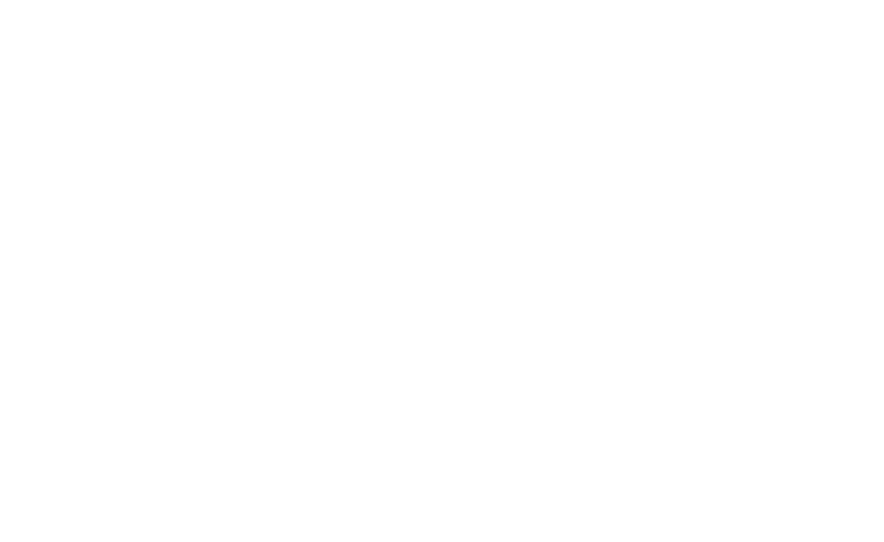 Baztel-logo-footer